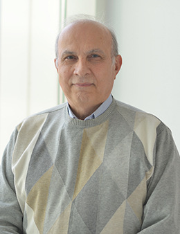 Haghani, Ali